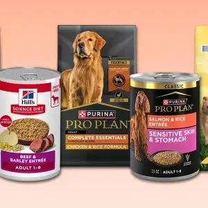 icon Pet Foods
